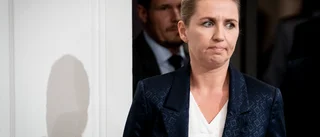 Alla danska minkar dödas efter muteringsrisk