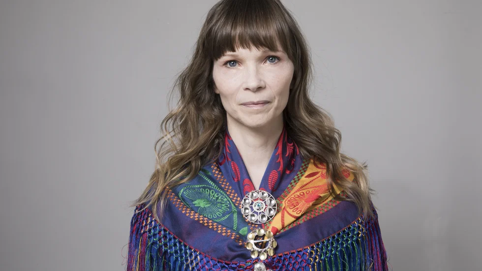 Ann-Helén Laestadius (född 1971) är uppvuxen i Kiruna. Hon debuterade 2007 med "Sms från Soppero" och har sedan dess gett ut flertalet ungdomsböcker. "Stöld" är hennes första roman för vuxna.