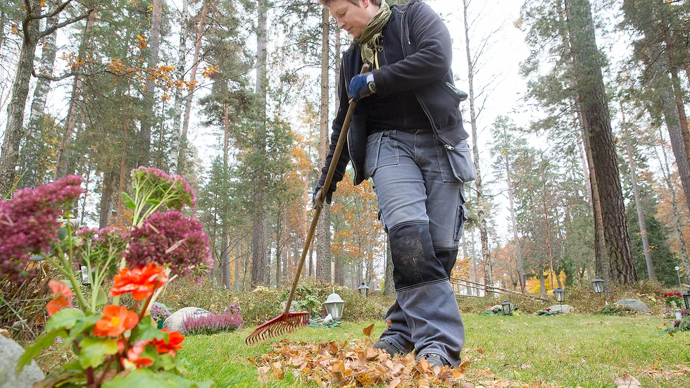Gravskötseltjänsten har inget vinstdrivande syfte. "Idealet vore att kostnaderna tar ut varandra och att detta ska gå plusminus noll", säger Annika Nitz, tf kyrkogårdschef.