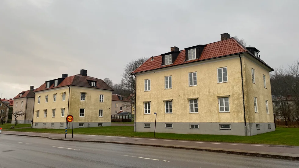 – När vi fick se husen i Motala var det verkligen kärlek vid första ögonkastet, säger Johan Seving.