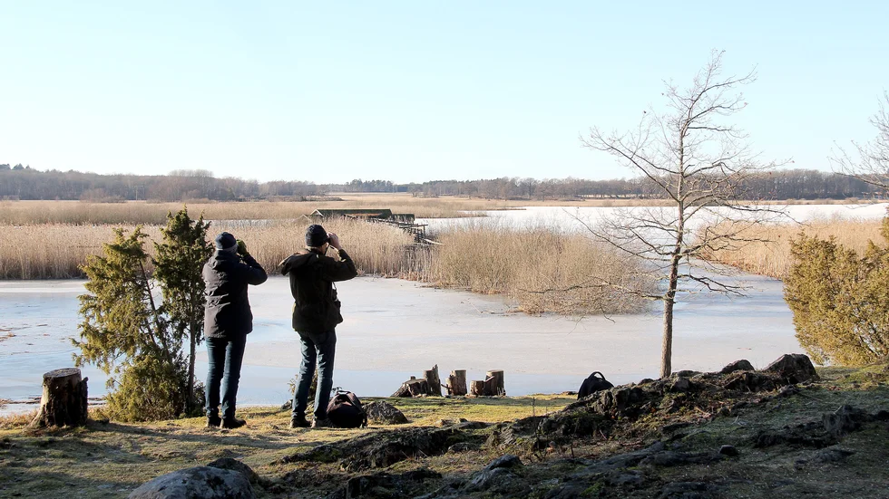 Nu finns närmare 170 naturreservat i länet att besöka då åtta nya reservat har bildas. Här en vinterdag i Hjälstaviken.