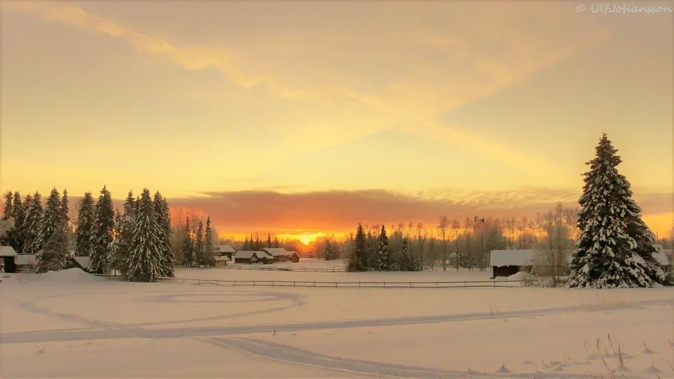 ”Polarnatten är över, vi fick se lite av solen idag i Junosuando”, skriver Ulf Johansson som fotograferade.
