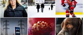 Quiz: Minns du nyhetsåret 2020 i Norrbotten?