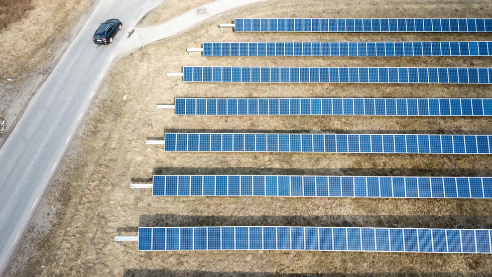 Sverige måste gå över till 100 procent förnybar energi, anser Linus Lakso (MP). 