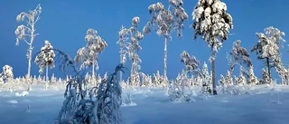 Bildextra: Läsarbilder         