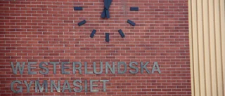 Förbud för höjdarbete efter flygande inspektion