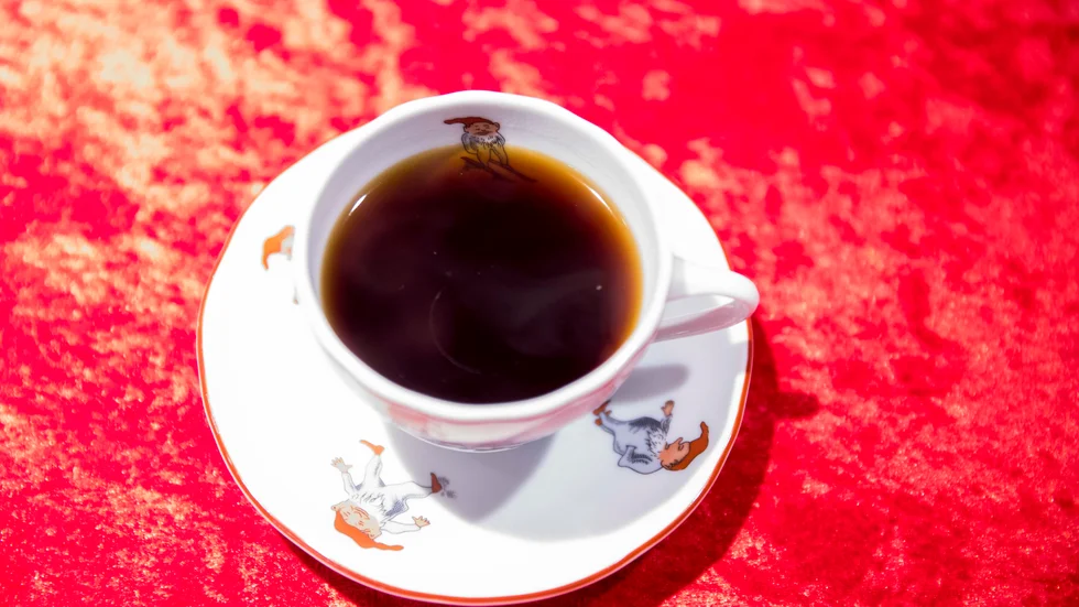 Den svampsjukdom som angriper kaffebuskarnas blad tycks kunna bekämpas med en annan svamp. Arkivbild.