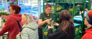 Blomsterlandet har nu öppnat: "Vad Motalaborna behöver"