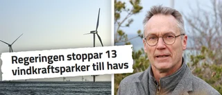 Blickar mot Polen ger hopp om vindkraftspark: ”Vi kan lösa det”
