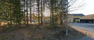 Nya ägare till hus i Älvsbyn – 1 600 000 kronor blev priset
