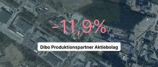 Dibo Produktionspartner Aktiebolag redovisar minusår