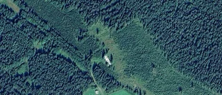 Nya ägare till skogsmark i Burträsk