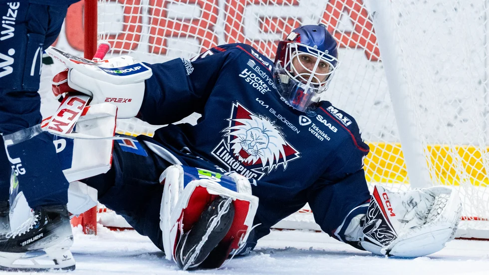 Adam Werner fick vakta målet . 