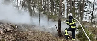 Gräsbrand mitt i vintern: "Det var väldigt oväntat"