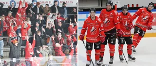 Hästen på backjakt efter pengaregnet: "Gäller att hitta rätt"