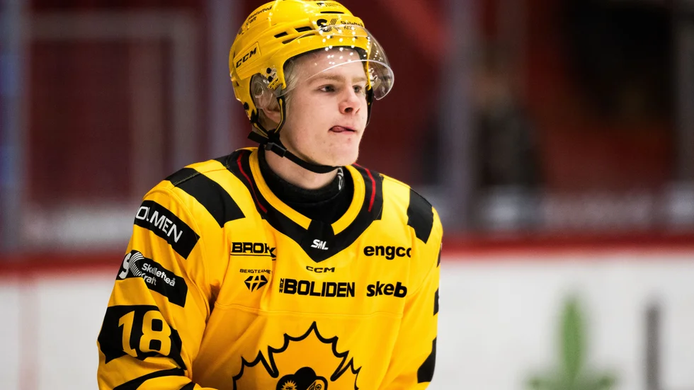 Moras norrman Martin Johnsen är en av totalt åtta lån som AIK använt sig av denna säsong. 