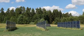 Solkraft och odling går utmärkt att kombinera
