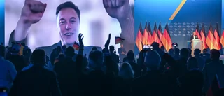 Tesla störtdyker i Tyskland