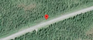 Träd över vägen skapar problem i trafiken på väg 94