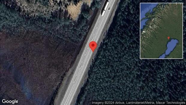 Rådjur på fel sida av viltstängslet på E4