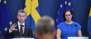 Så ska Sverige bidra till Natos försvar
