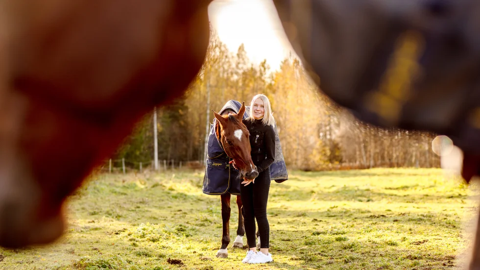 Travtränare Tilda Wahlberg med Eastandwest i hagen hemma i Södra Sunderbyn med endast några dagar kvar innan V75 på Bodentravet där den unga tränaren har fyra hästar till start.