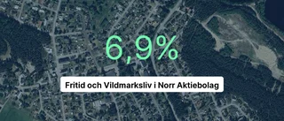 Fritid och Vildmarksliv i Norr AB 2023: Så gick det för företaget