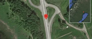 Varning för älg på vägen på E4 i Luleå
