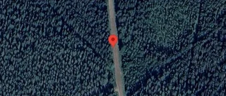 Problem i trafiken efter nedfallna träd på väg 741