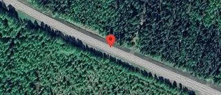 Olycka med vilt på väg 97 – stopp i ett körfält