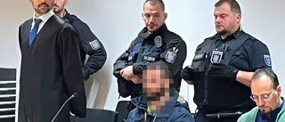 Man erkänner terrorplaner mot riksdagen