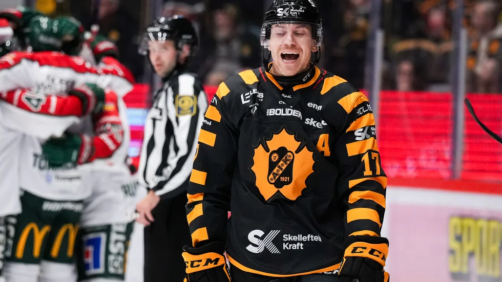 Pär Lindholm kan konstatera att det här inte var AIK:s lördagseftermiddag. Frölunda vann med 4–0.