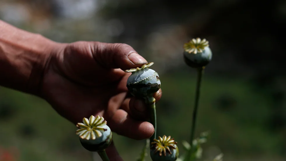 En 39-årig man från Linköping har dömts för grov narkotikasmuggling av opium. (Bilden är tagen i ett annat sammanhang.) 