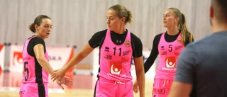 Repris: Visby Ladies mot Norrköping Dolphins – se matchen här