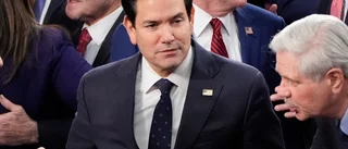 Källor: Rubio rasade mot Musk – Trump tittade på