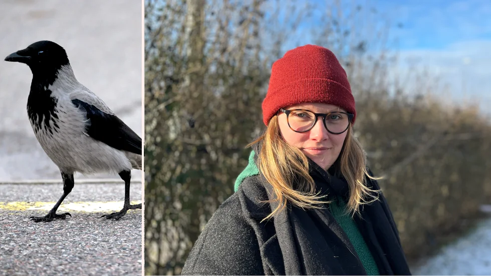 I Vingåker talas det i omgångar om någon maskerad person, en kråkman, där ryktena i sig kan skrämma upp. 