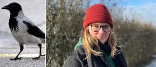 Envisa rykten om maskerad "kråkman" – nu har Emma, 34, fått nog