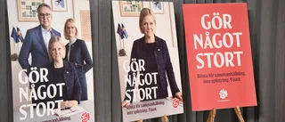 Ett parti är inte ett varumärke