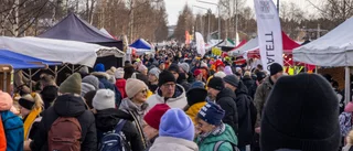 Marknadsrekord – eller inte?        