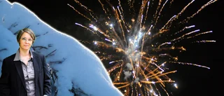 Gott nytt år från tänkarbänken 