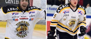 Hockeyextra: Drömvärvningarna