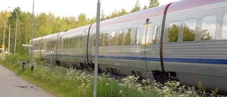 Korna dödades av tåget – ägaren får ersättning