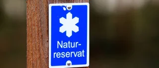 Här är länets nyaste naturreservat