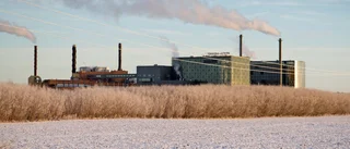 Tekniska verken får ny vd