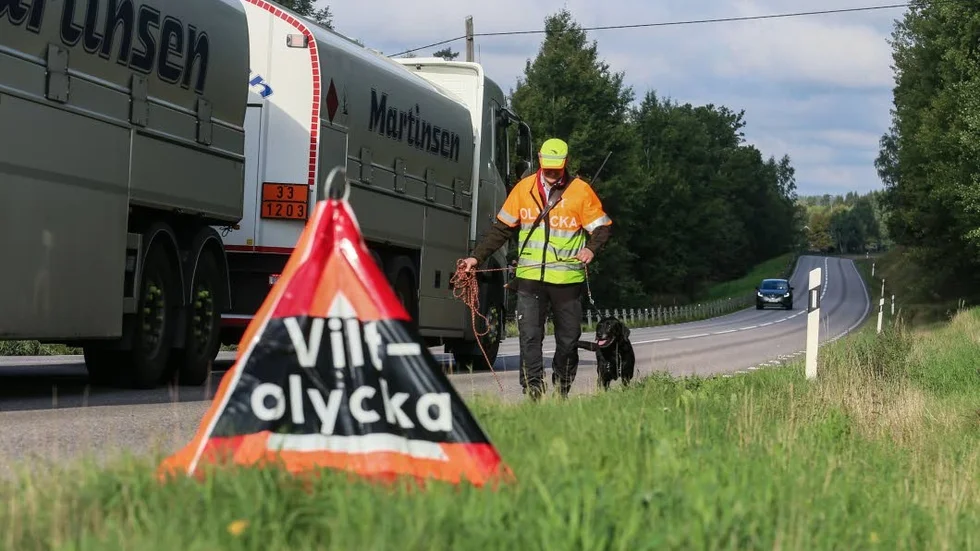 Riksväg 35 är länets mest olycksdrabbade väg när det kommer till Viltolyckor