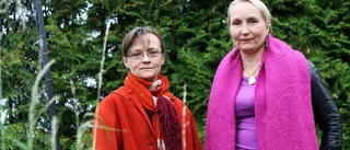 Motalakonstnärer föreläser i Helsingfors