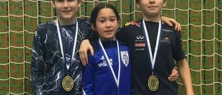 Silver i Skåne till Motalabrottare