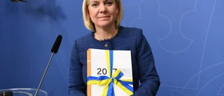 I (s)kuggan av en budget