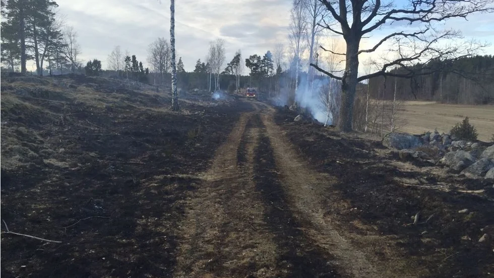 Bild från brandområdet i Öndal.