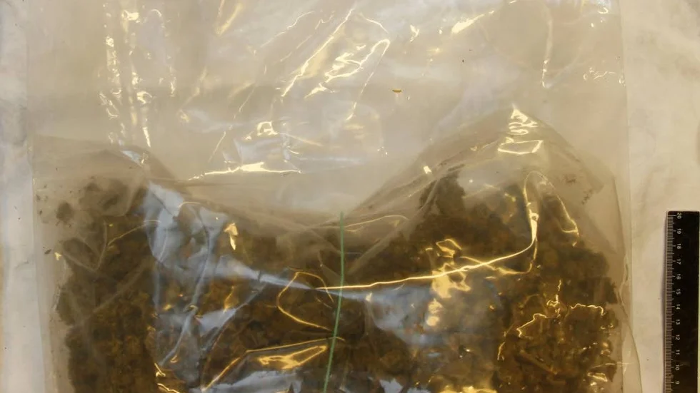 THC är det potenta ämnet i cannabis.  THC-syra, restprodukten som uppstår i kroppen, är däremot inte narkotikaklassad.
